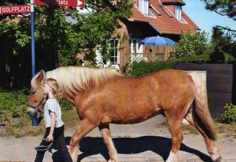Fewo-Mit-Terasse-U-Garten-Am-Golfplatz Wulfen auf Fehmarn Kültér fotó